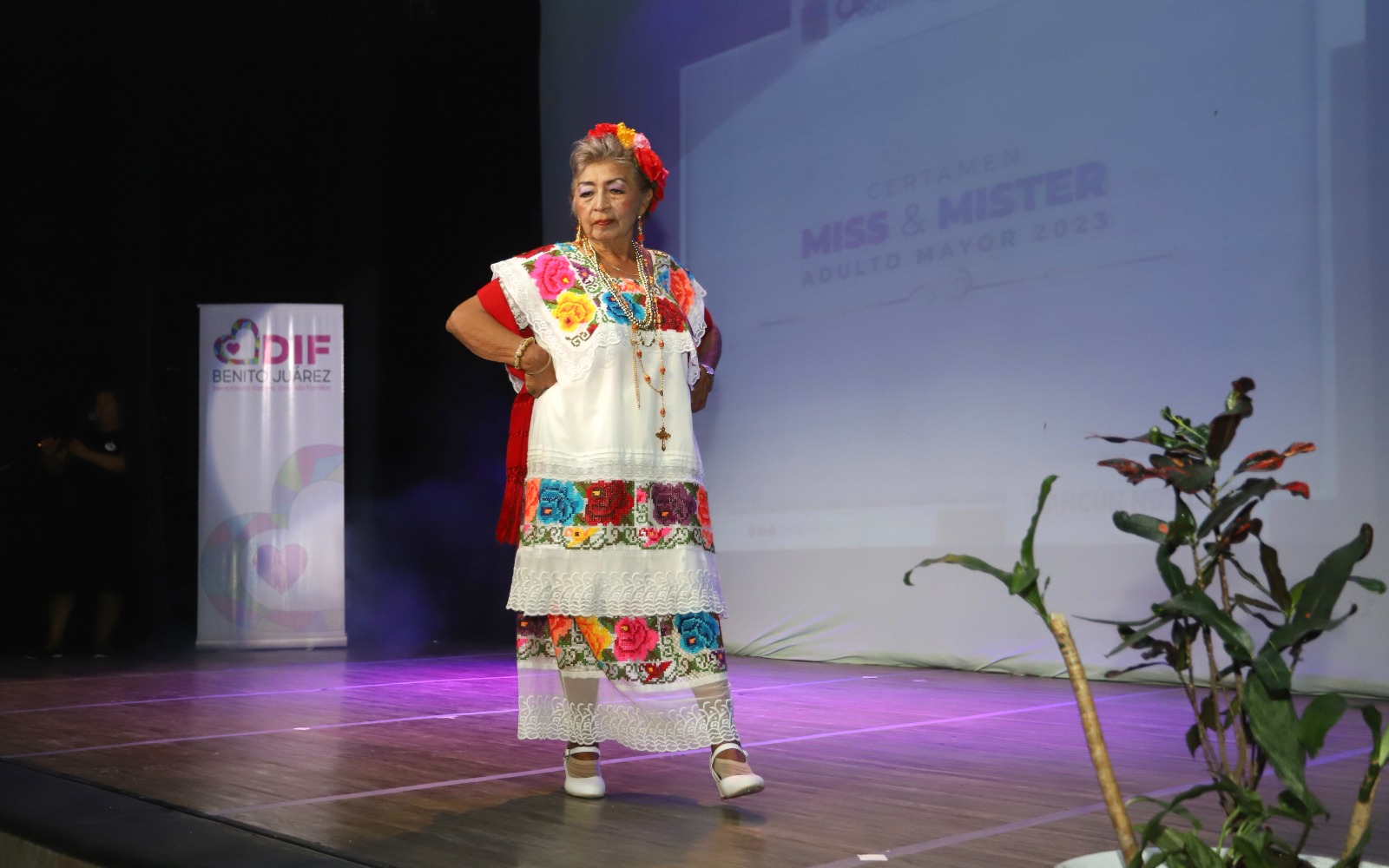 uploads/6/32/01 (2053).Jpeg